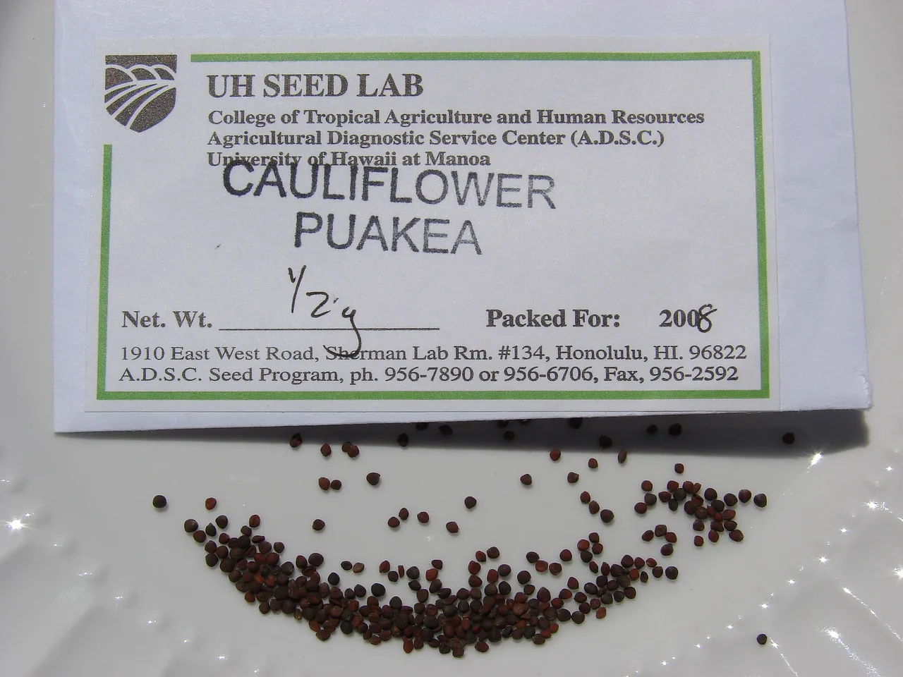 Cauliflower (Brassica oleracea botrytis)
