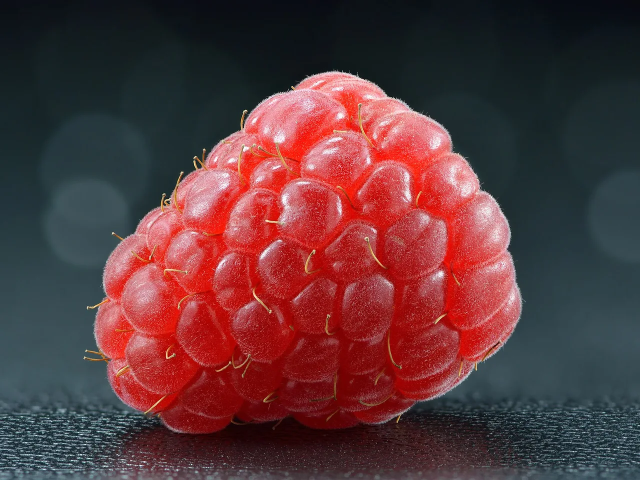 Raspberry (Rubus idaeus)